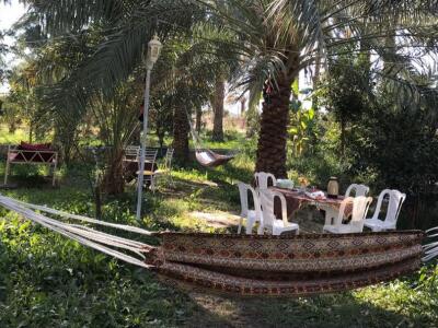 اقامتگاه بومگردی "ترنج بم" اتاق شب بو