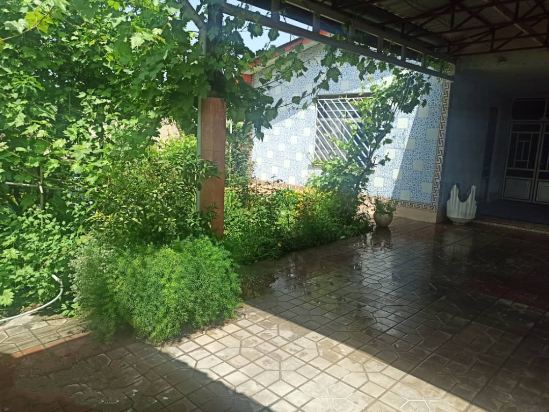 حیاط و نمای ساختمان