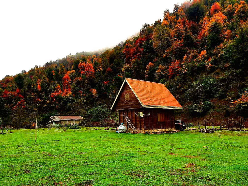 نمای کلبه