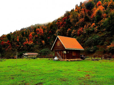 کلبه چوبی رویایی