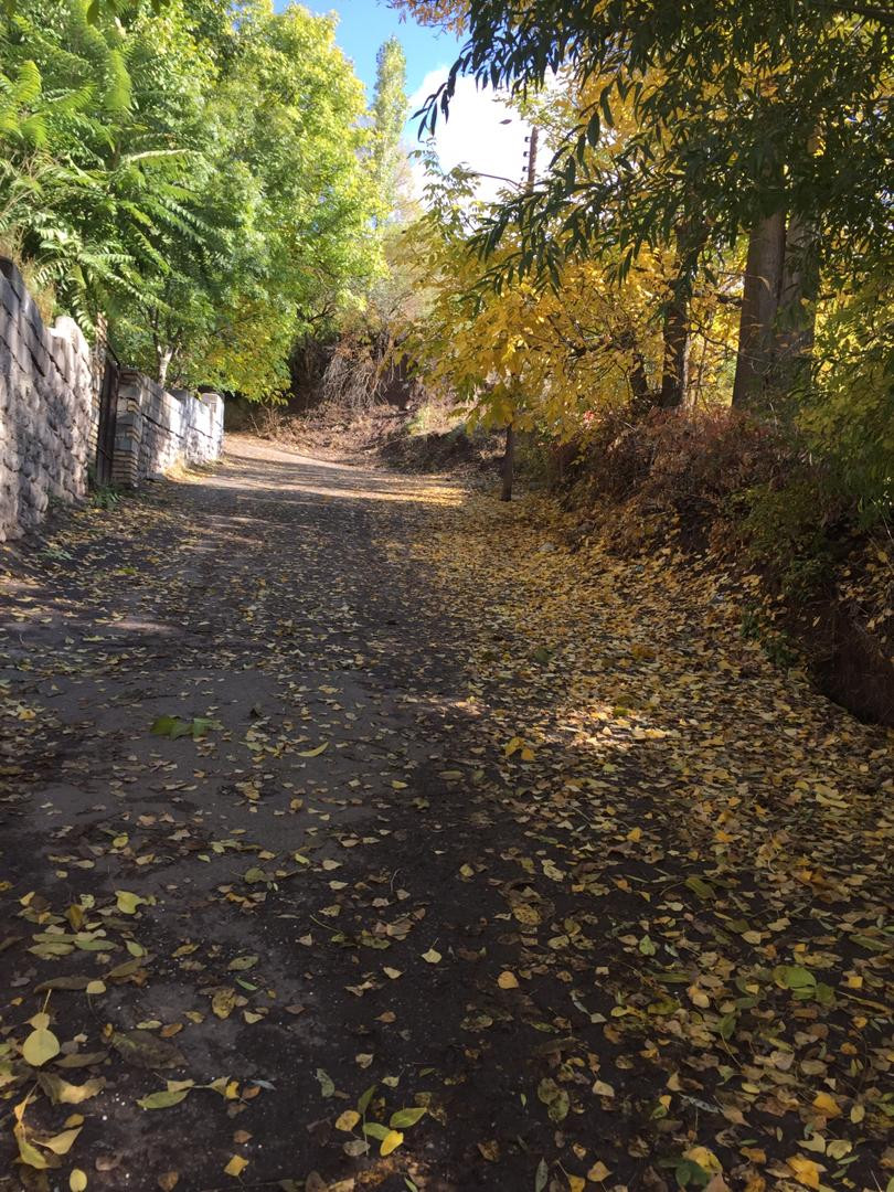 کوچه
