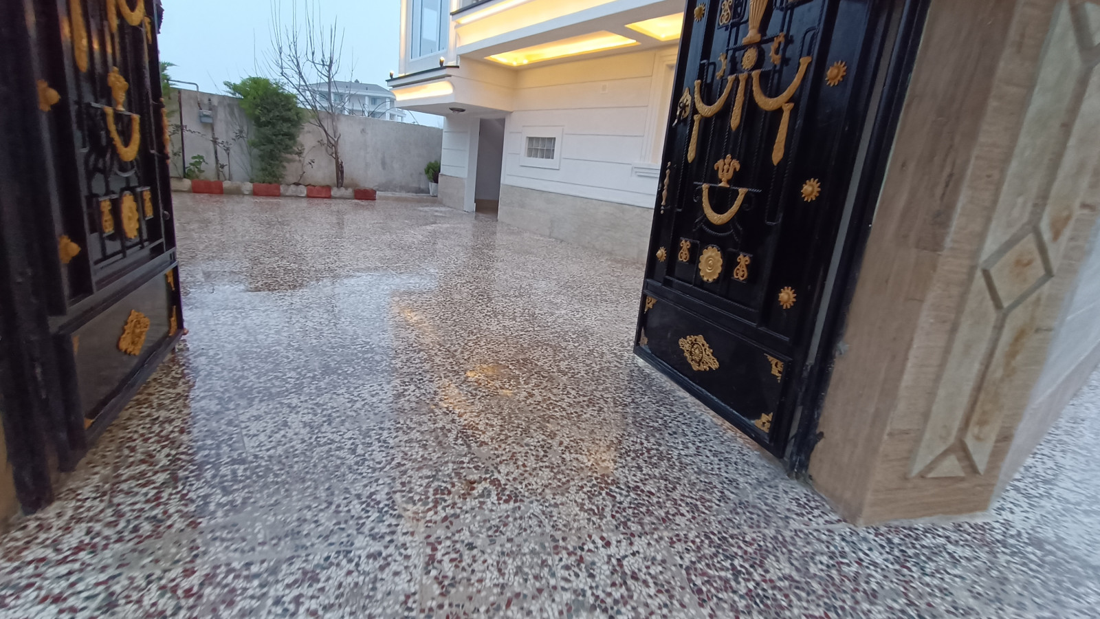 حیاط