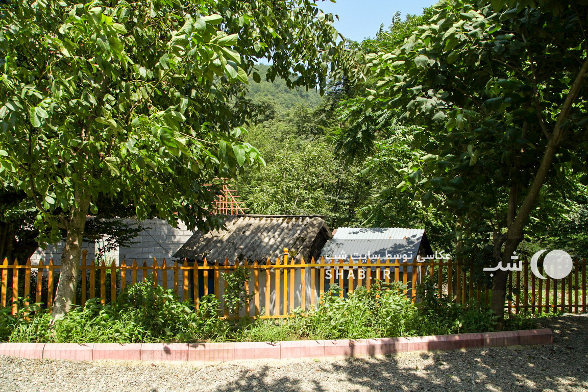 حیاط