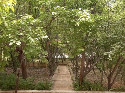 عمارت بلبل دره شهمیرزاد