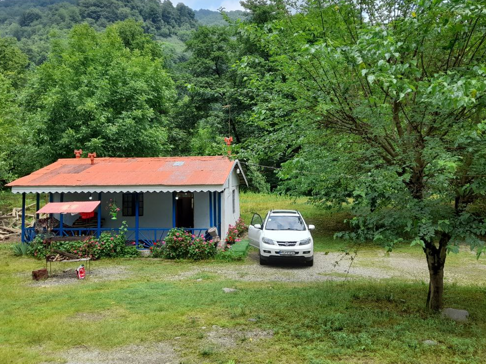 نما و حیاط نما و حیاط