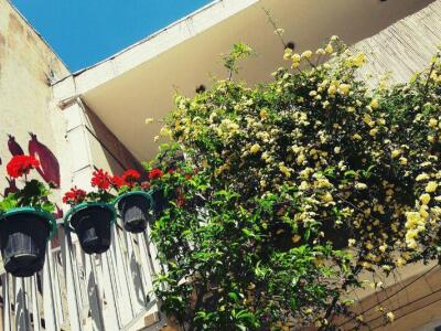 واحد دوخوابه در نزدیکی سی و سه پل واحد دوخوابه در نزدیکی سی و سه پل