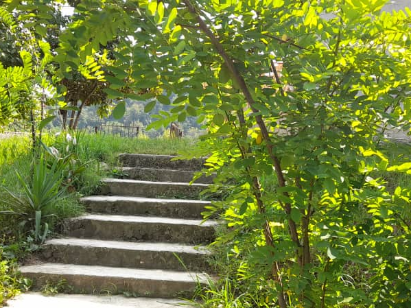نمای بیرونی ساختمان