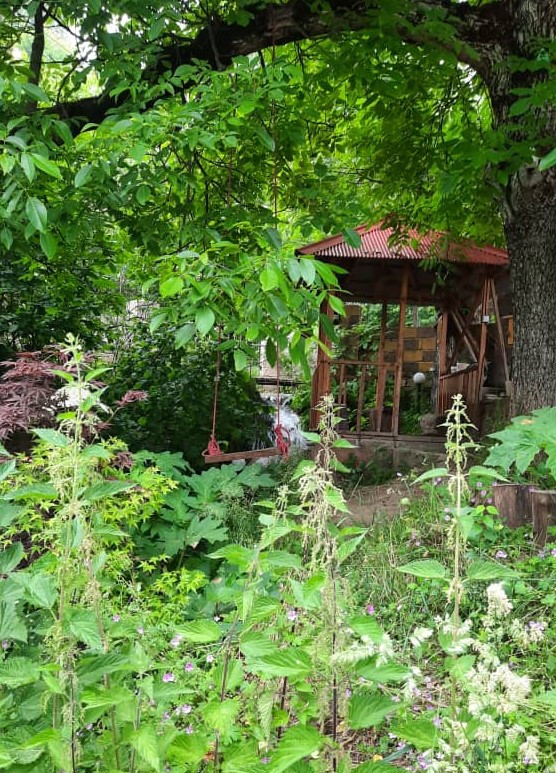 آلاچیق آلاچیق