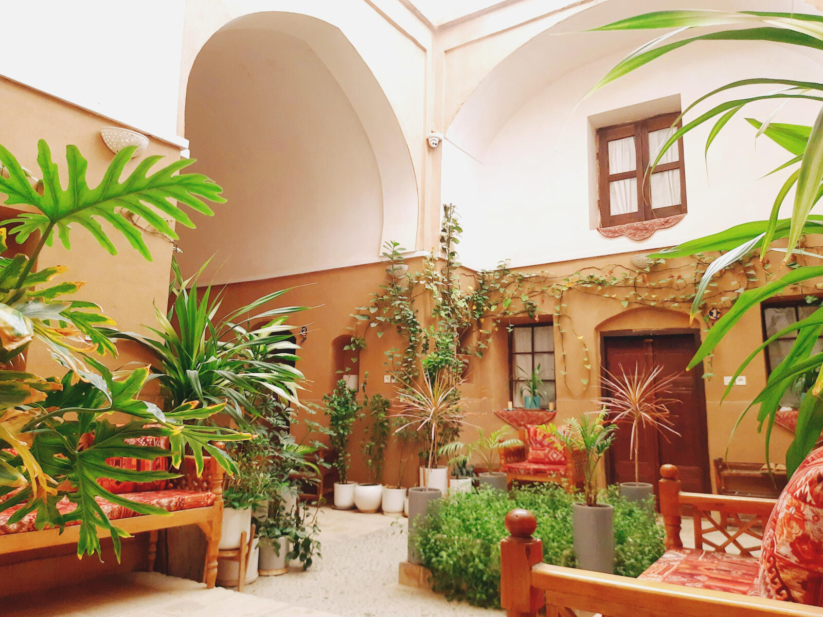حیاط حیاط