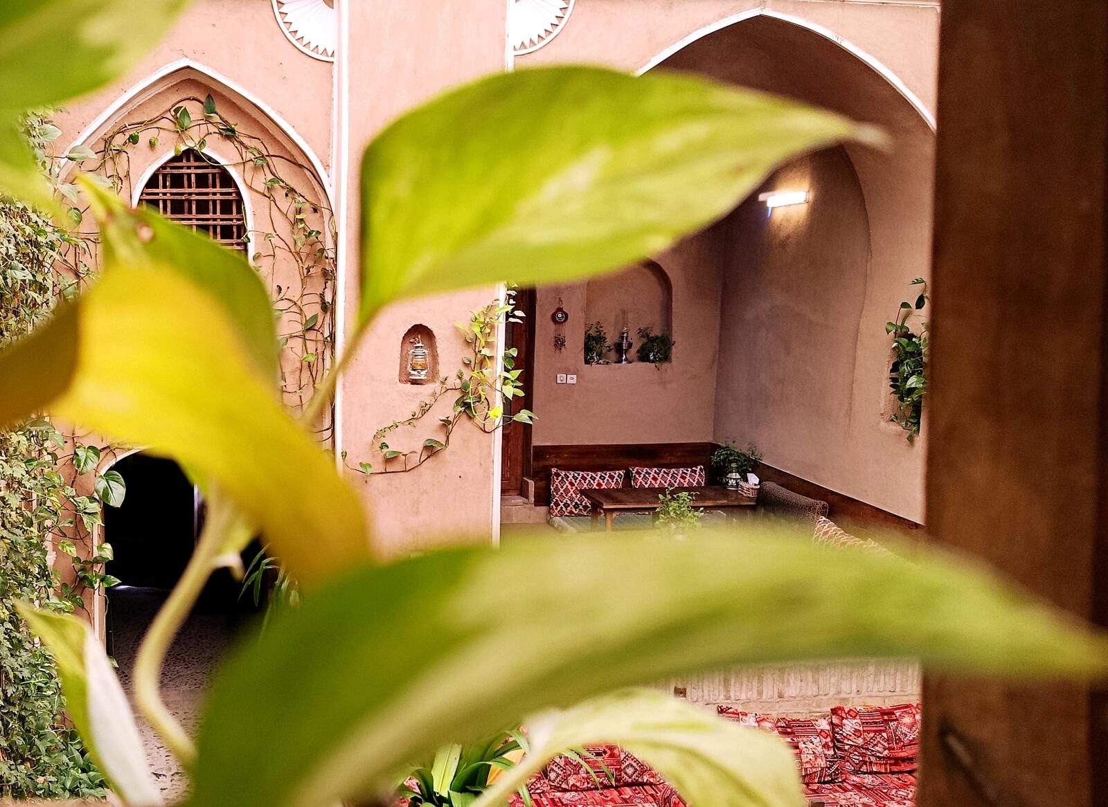 حیاط حیاط