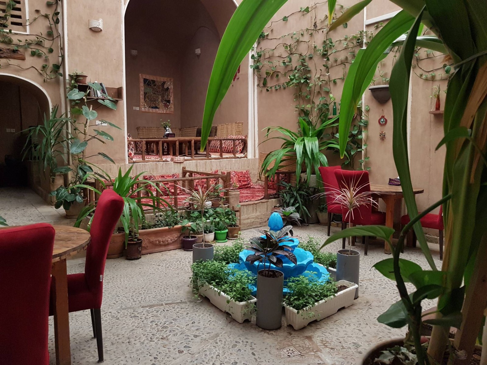 حیاط