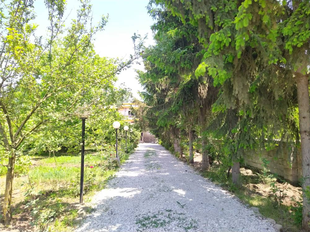 ورودی ورودی