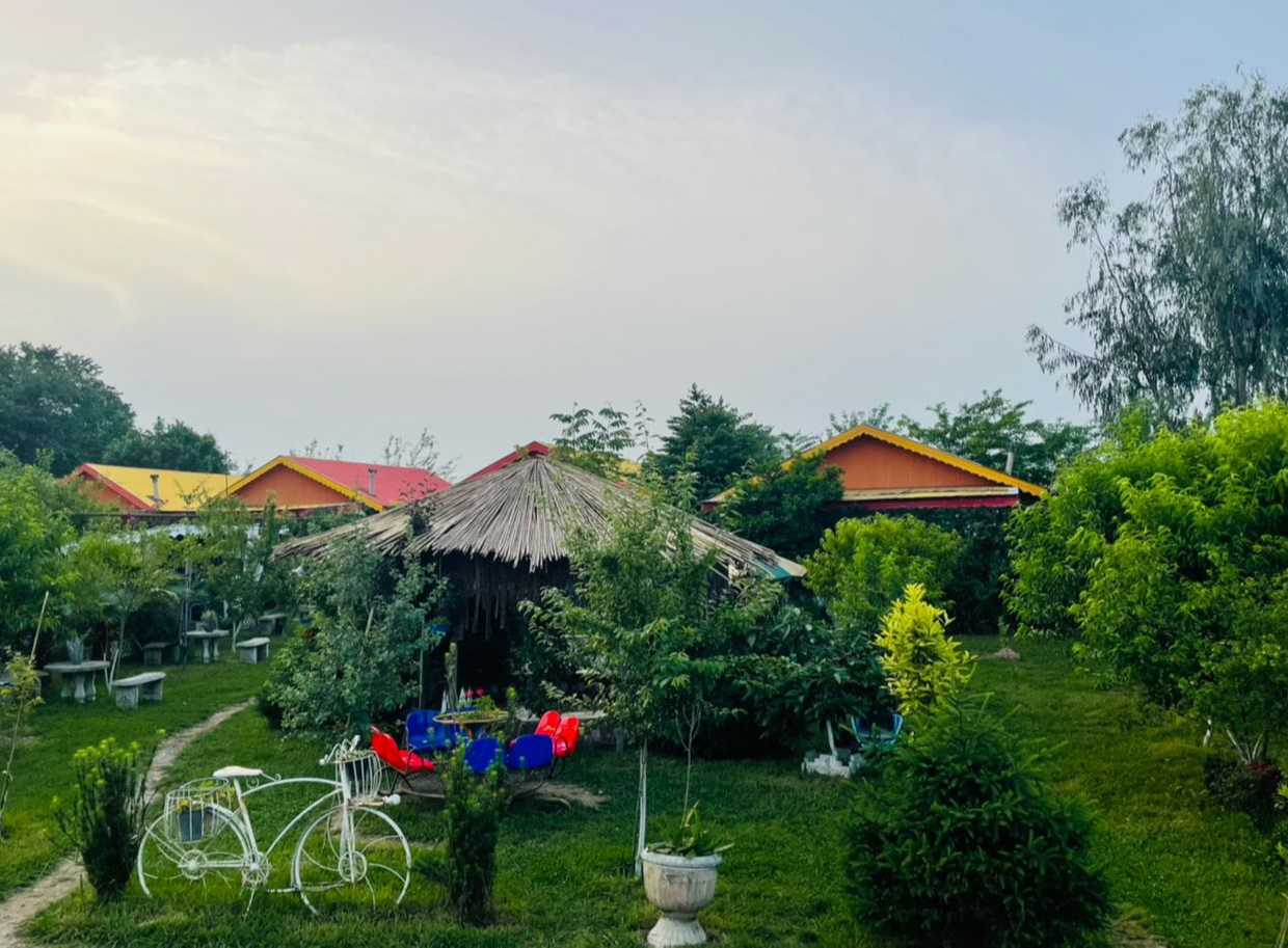 محوطه حیاط محوطه حیاط