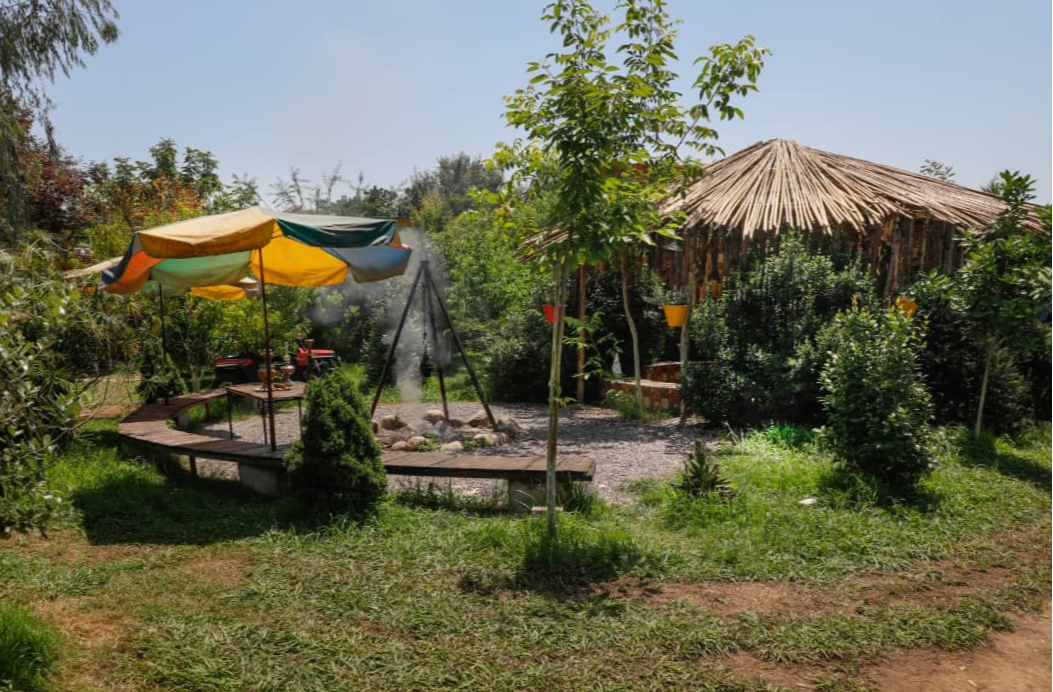 محوطه حیاط محوطه حیاط