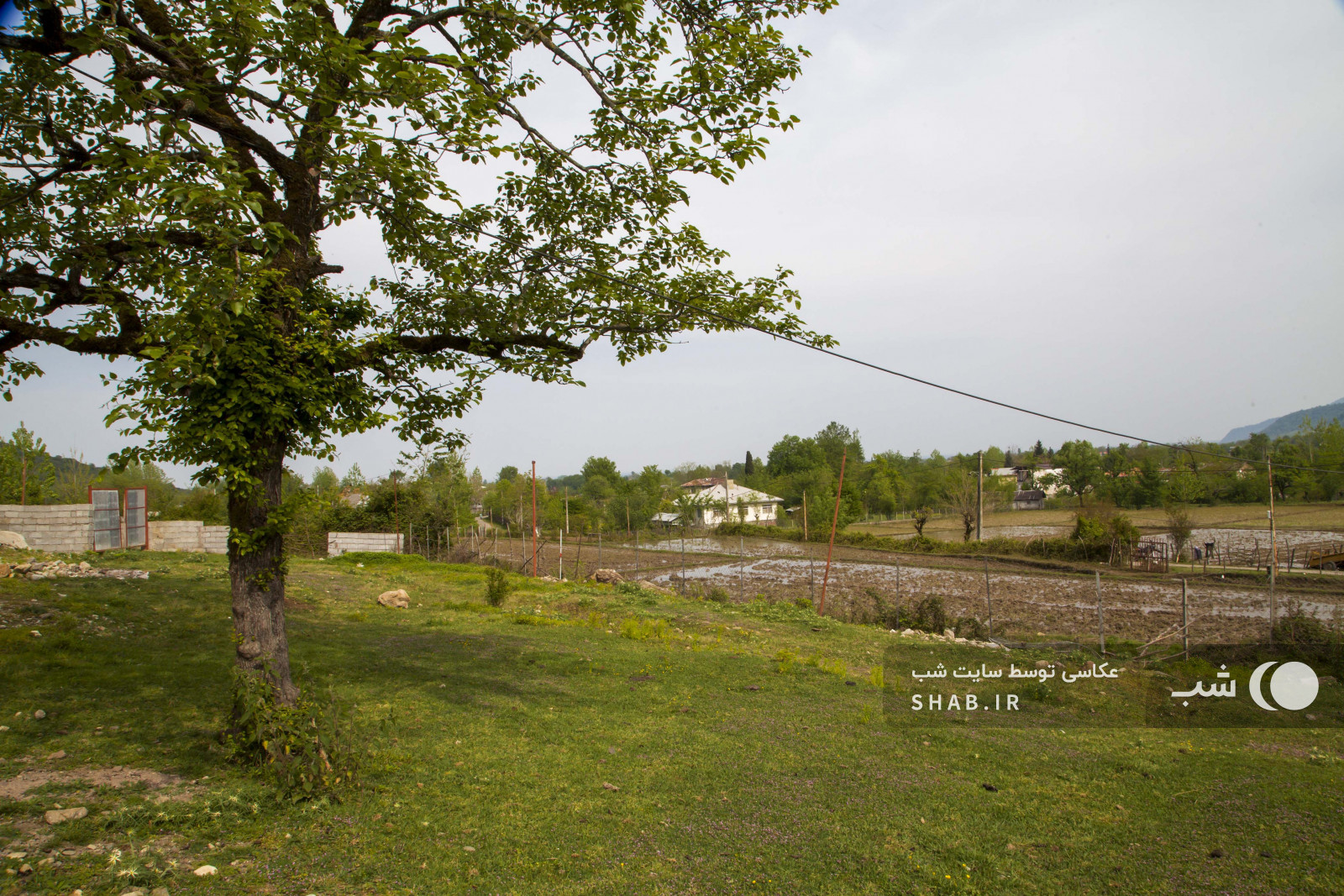 محوطه بیرونی محوطه بیرونی