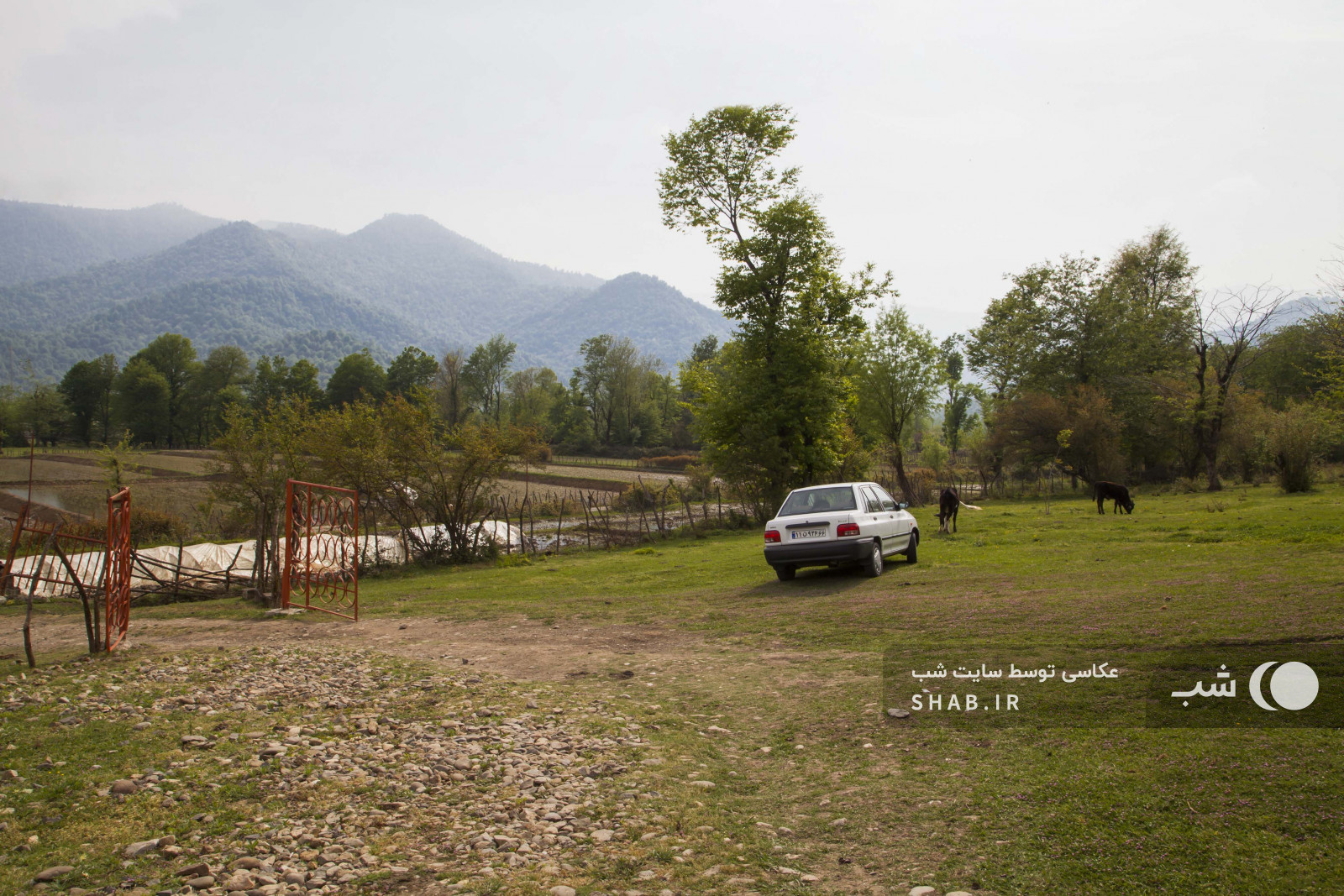 محوطه بیرونی محوطه بیرونی