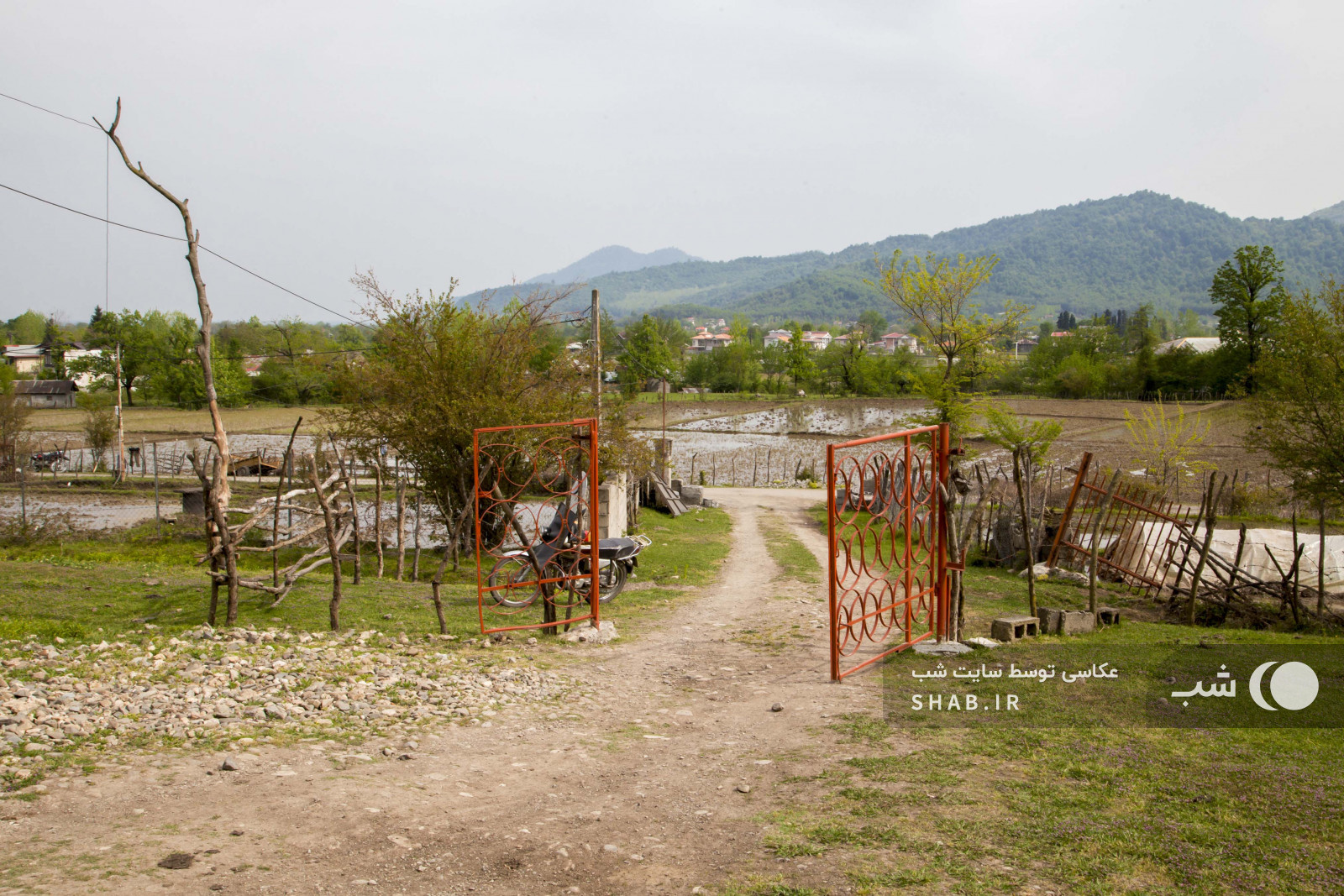 در ورودی در ورودی