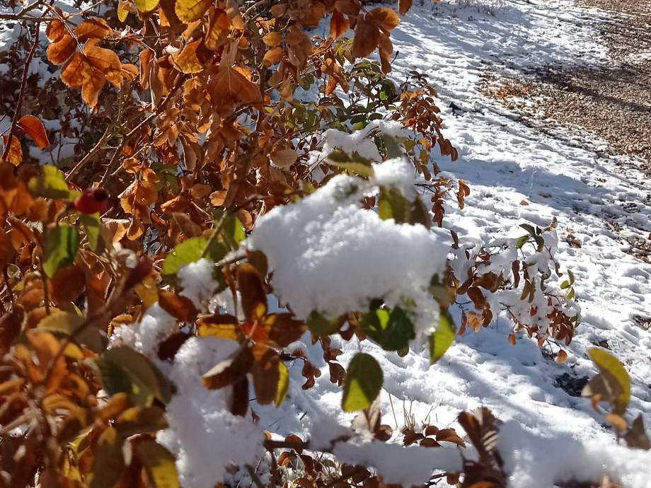 نمای بیرونی ساختمان