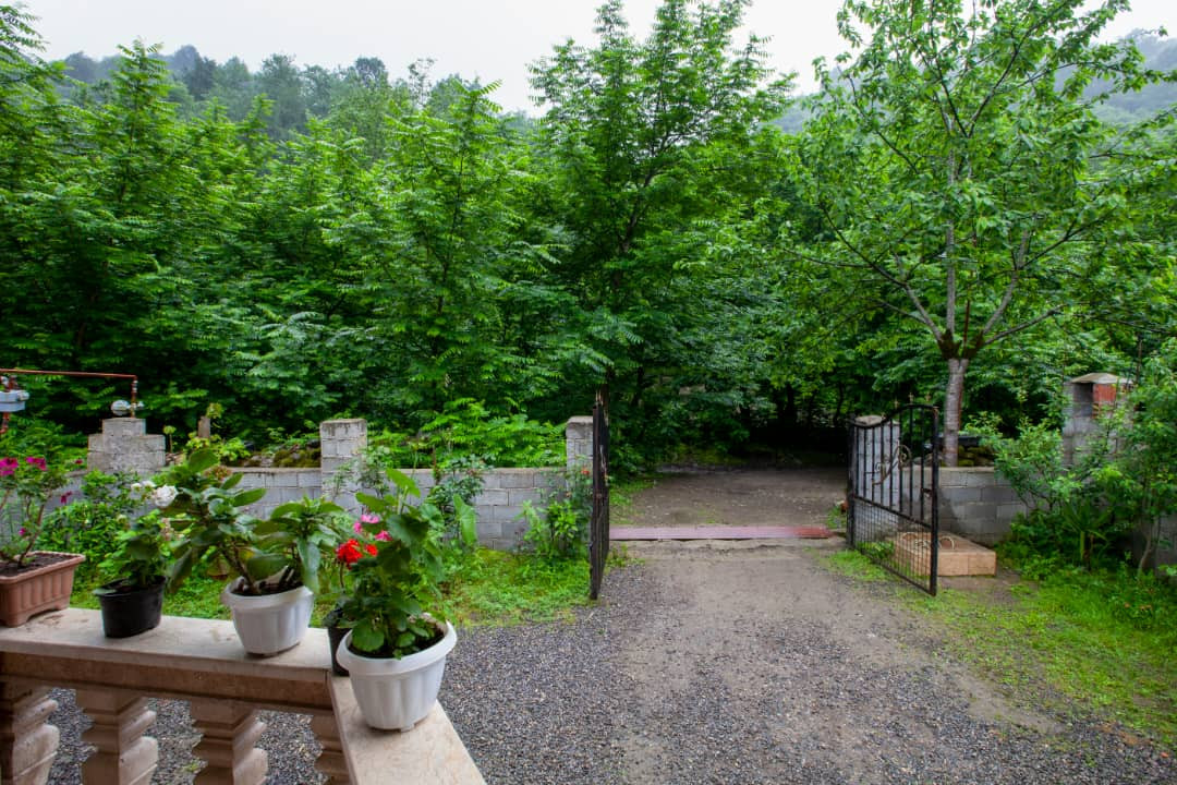 ویوی ورودی ویوی ورودی