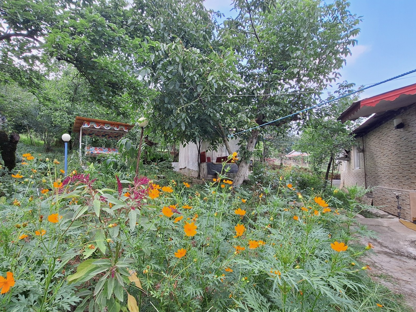 نمای بیرونی ساختمان