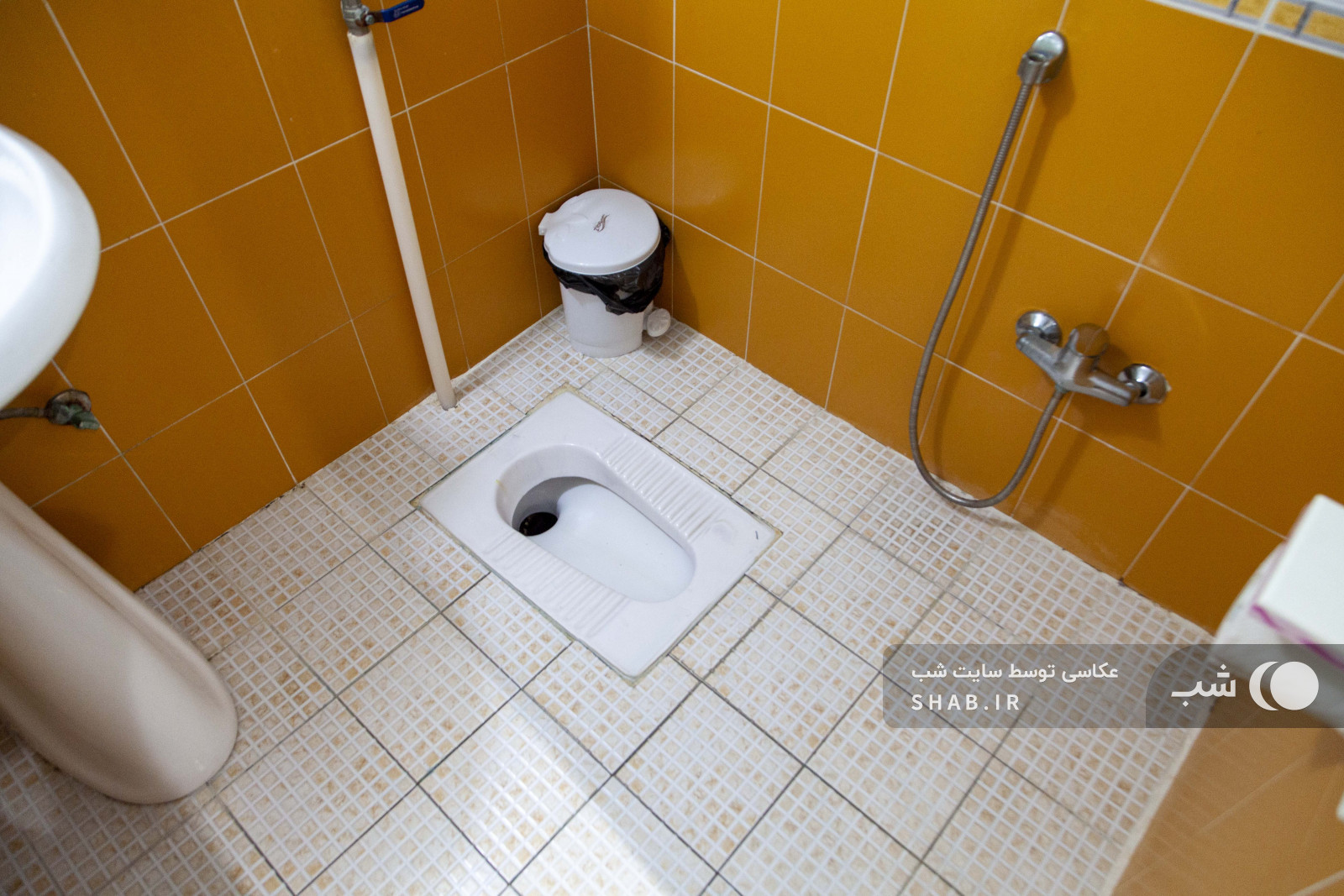 سرویس بهداشتی