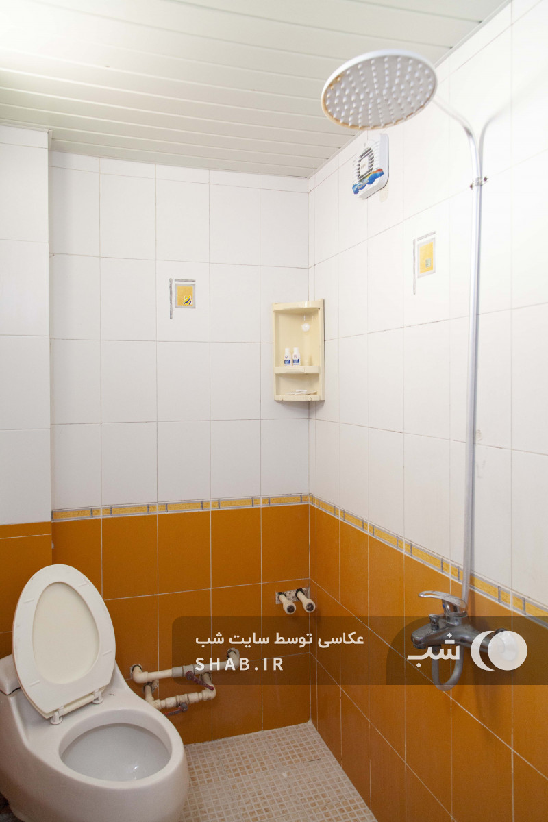 سرویس بهداشتی