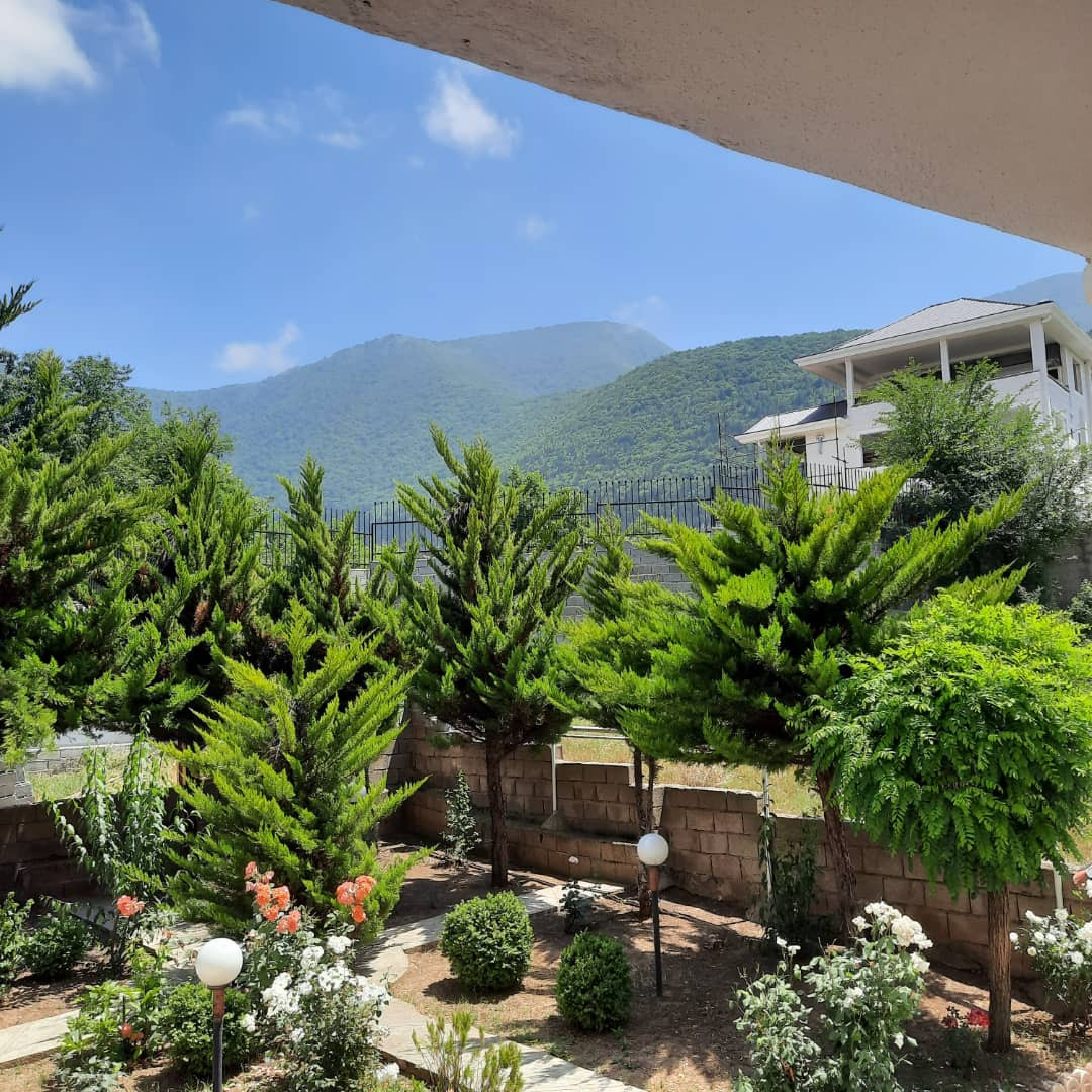 ویو جنگل ویو جنگل