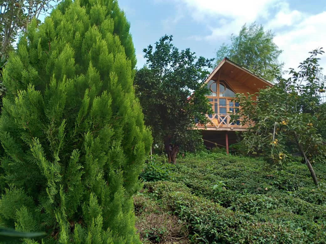 نمای کلبه و حیاط