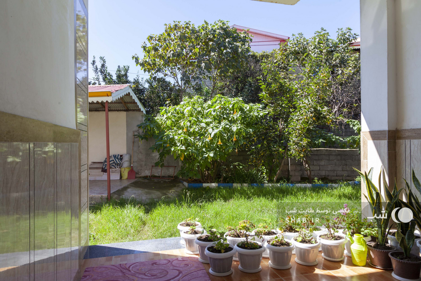 ویوی تراس