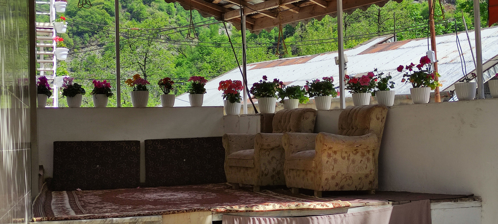 ترانس ترانس