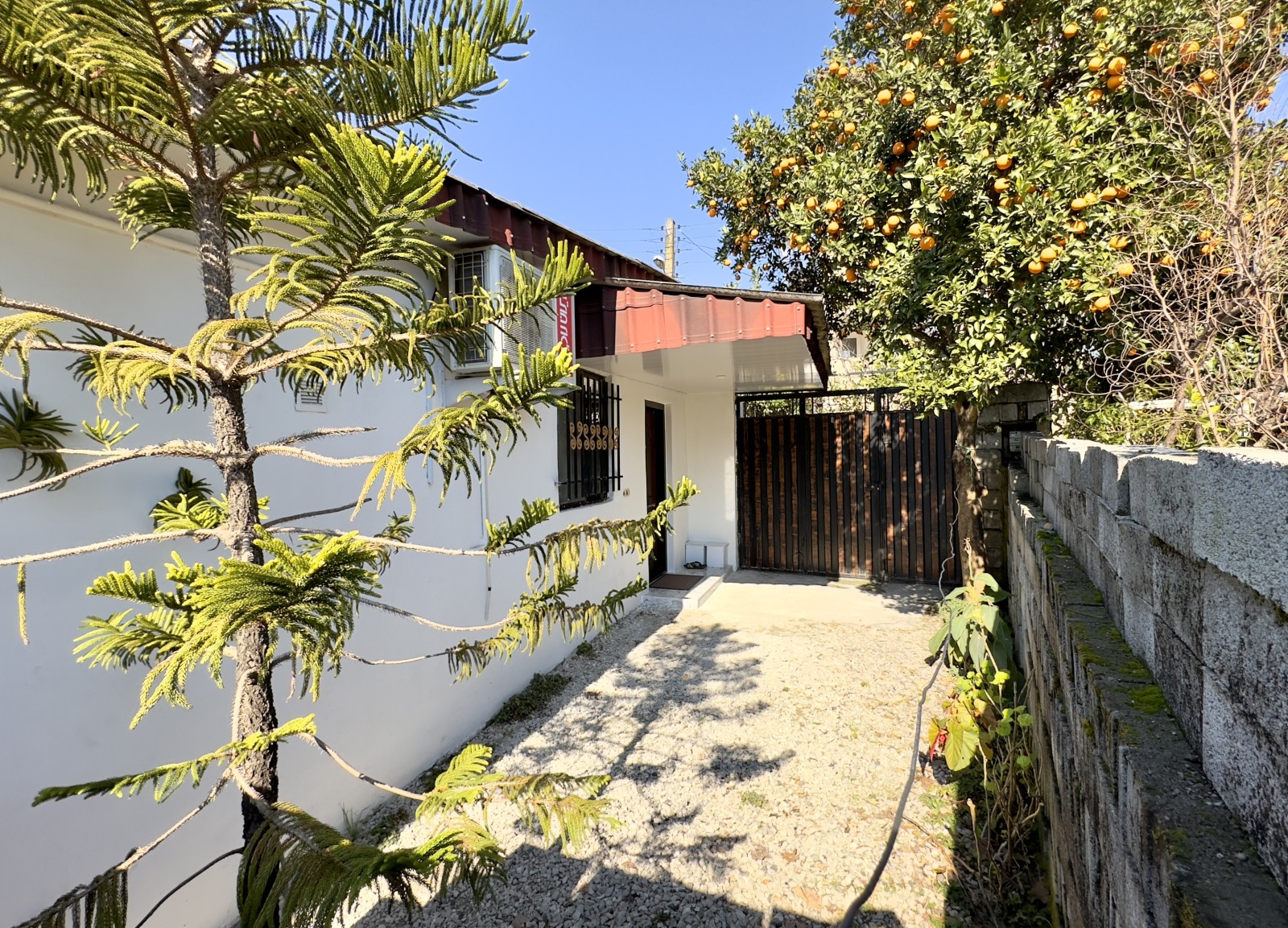 حیاط و پارکینگ