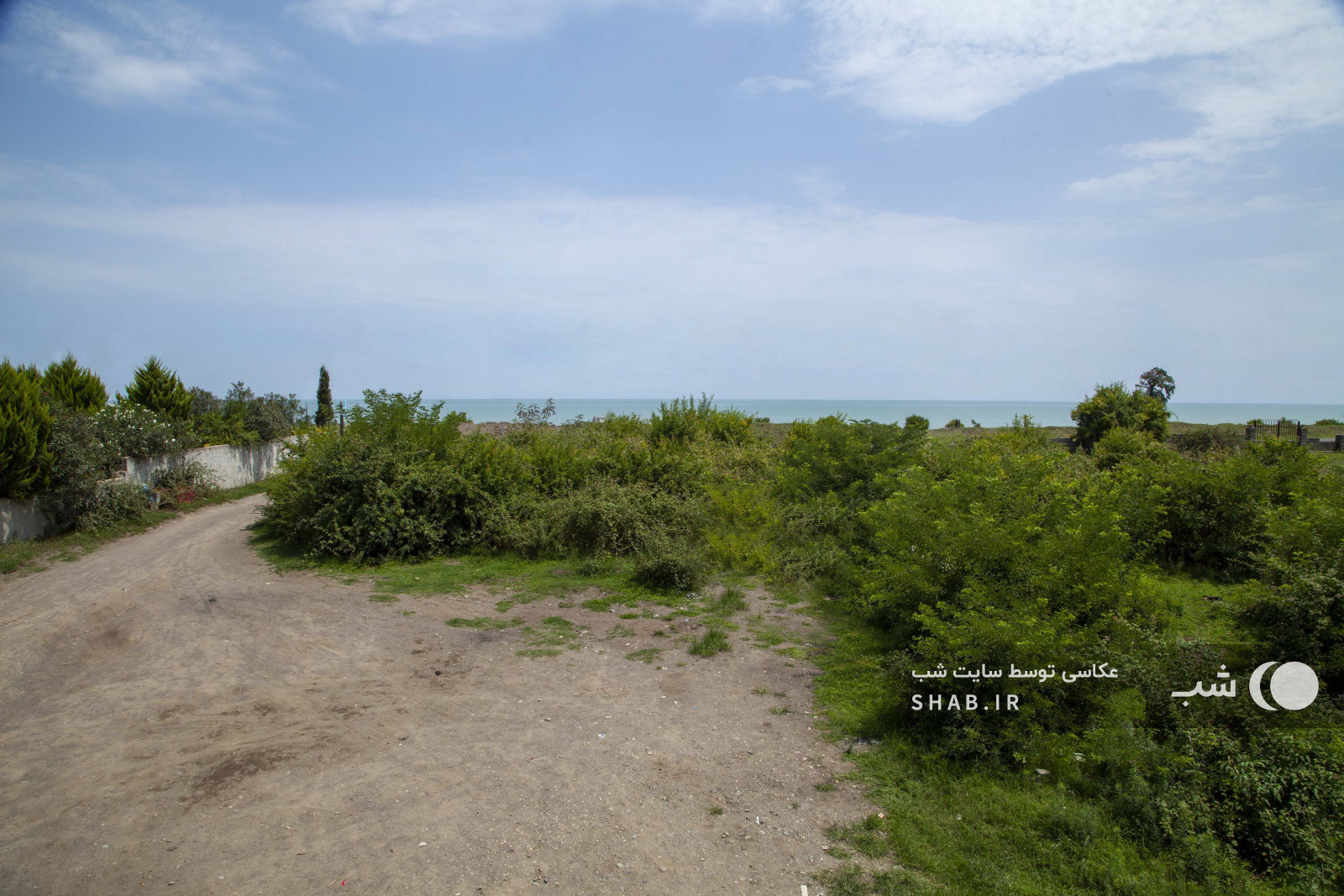 ویوی دریا ویوی دریا