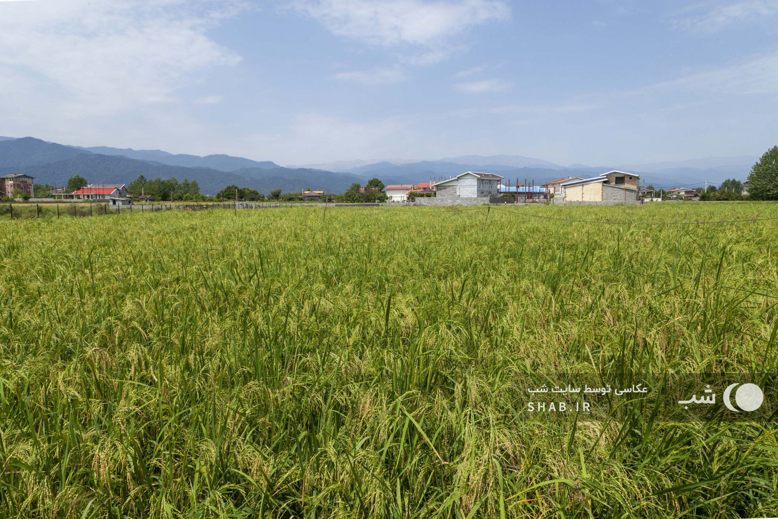 محوطه اطراف اقامتگاه محوطه اطراف اقامتگاه