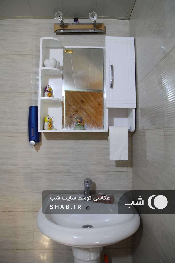 سرویس بهداشتی