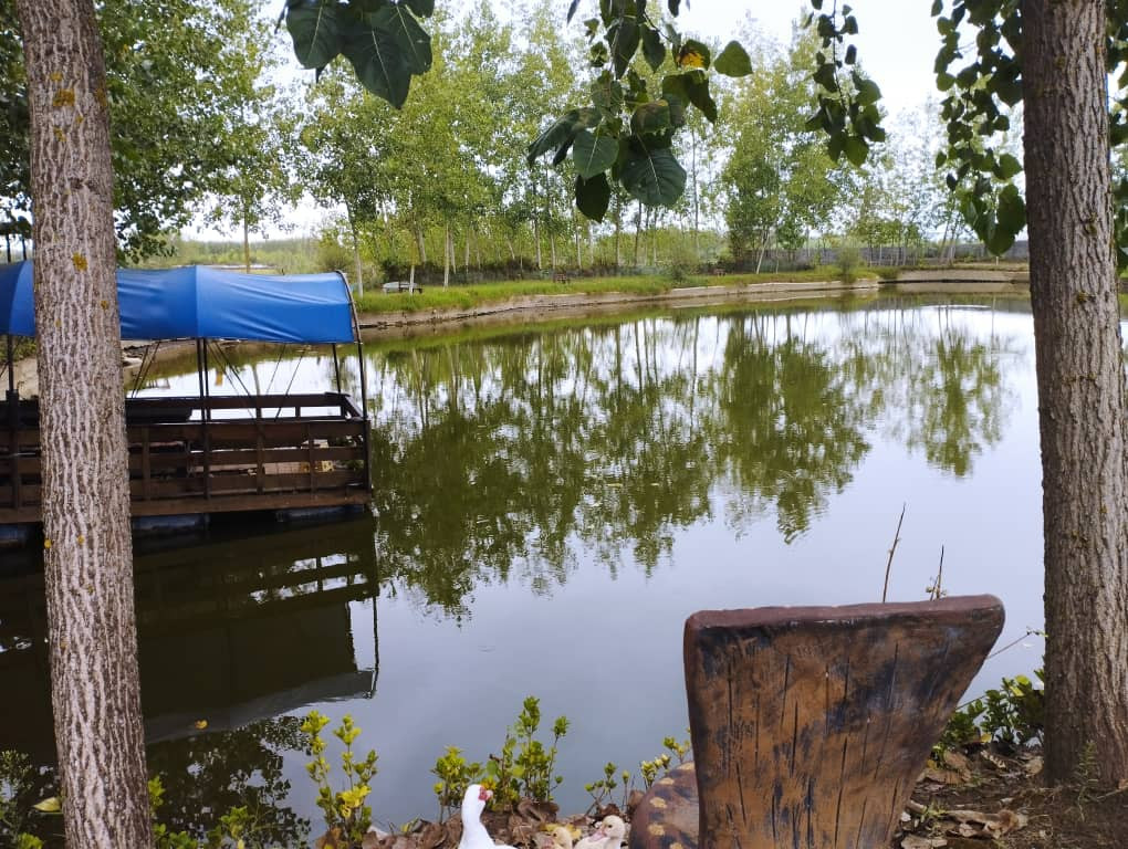 دریاچه