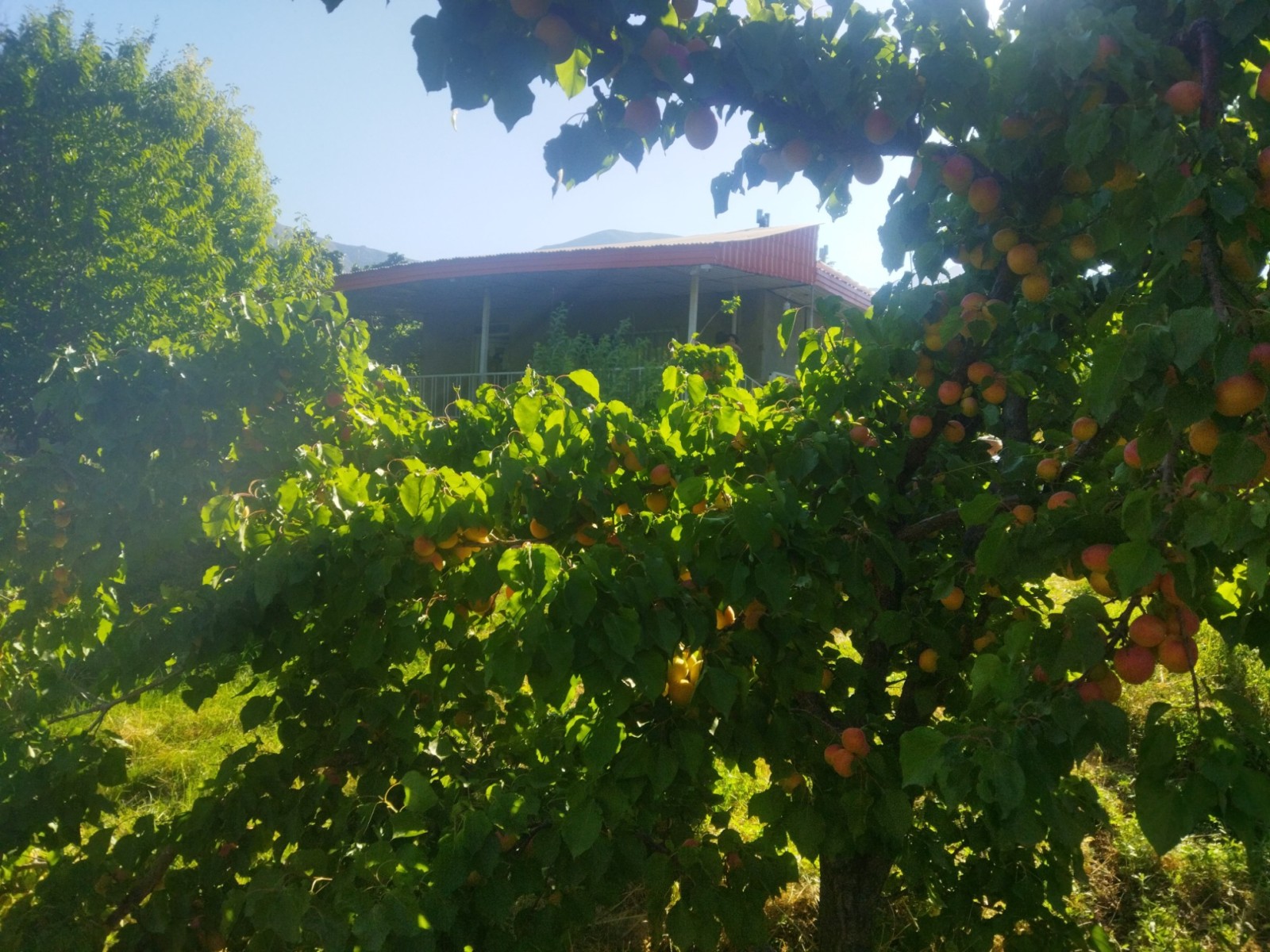 نمای بیرونی ساختمان