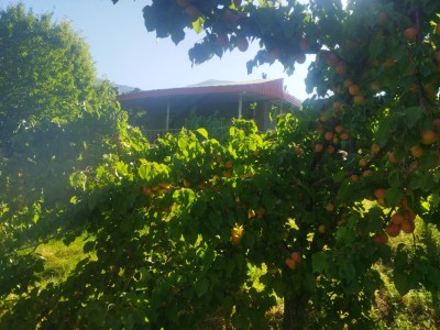 ویلای ییلاقی دربست در روستای قلعه پاچه