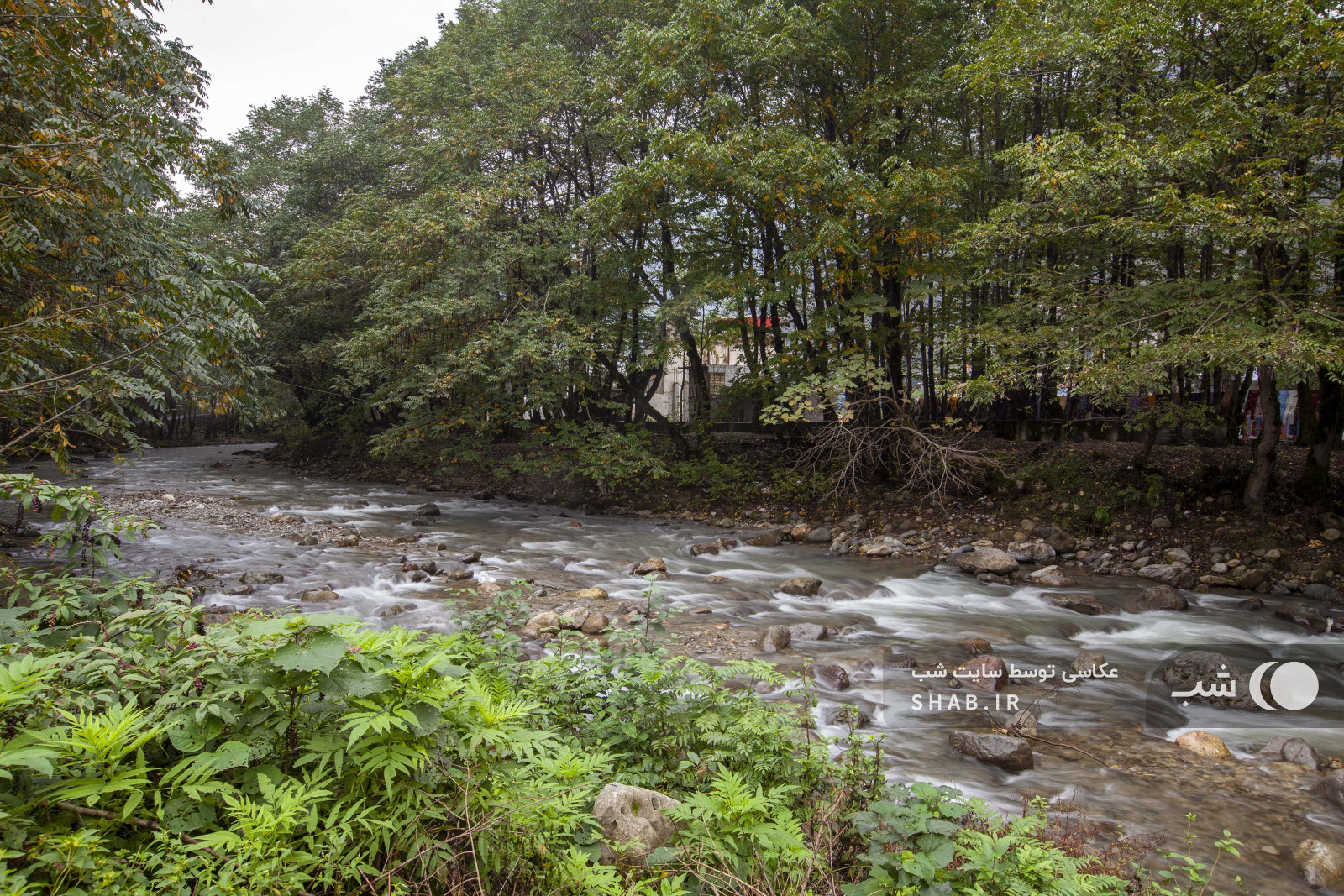 محوطه اقامتگاه محوطه اقامتگاه