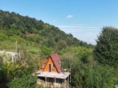 کلبه چوبی دربست، تراس با ویوی زیبای جنگل