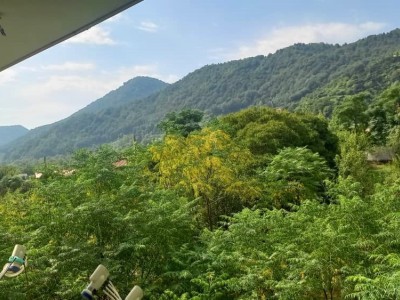 واحد شاه نشین با ویوی زیبای جنگل و کوهستان