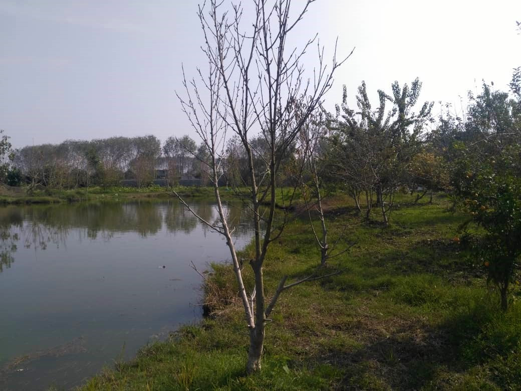 باغ و دریاچه