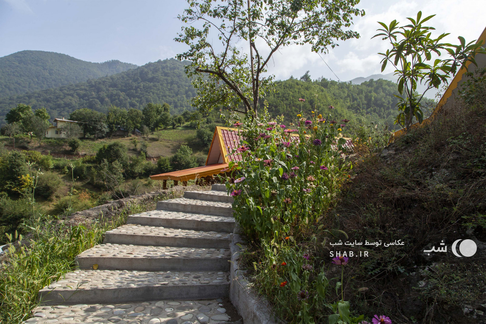 ویوی زیبای اقامتگاه