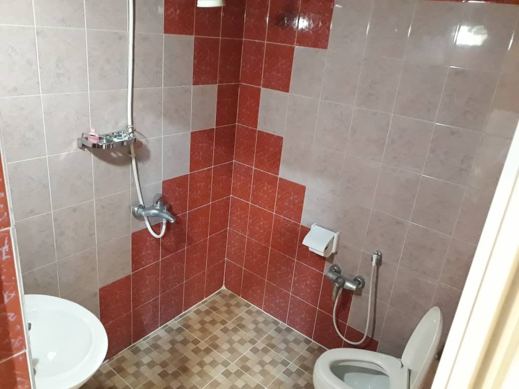سرویس بهداشتی