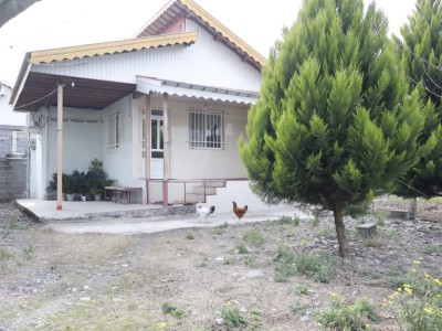 سویت نقلی دنج در سراوان