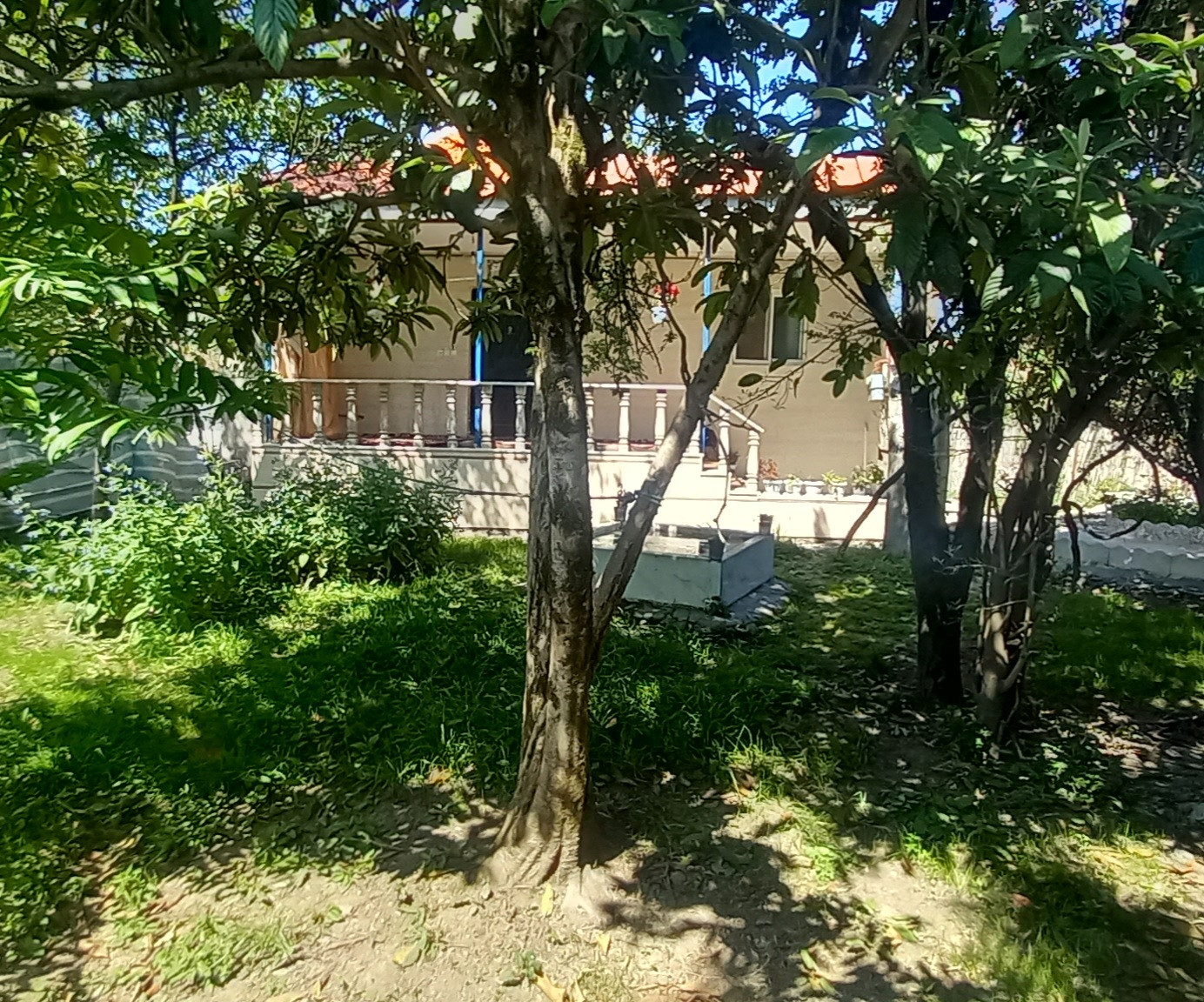 نما و حیاط