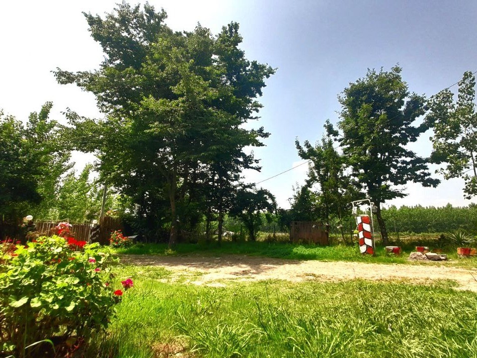 حیاط