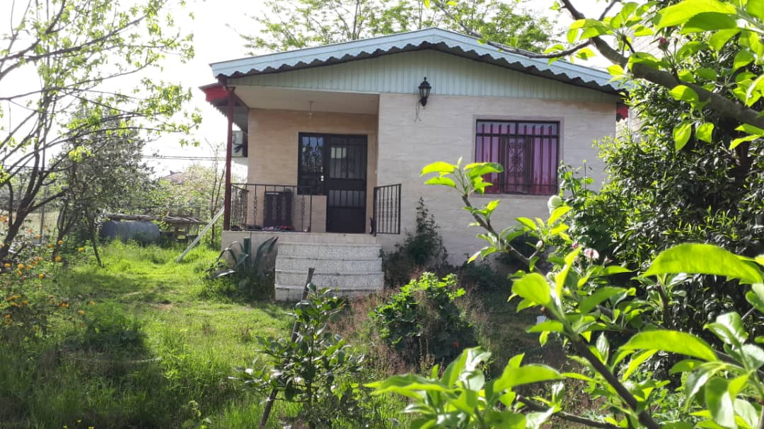 نمای ساختمان نمای ساختمان