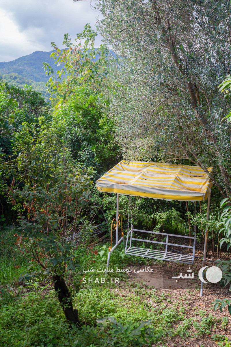 حیاط