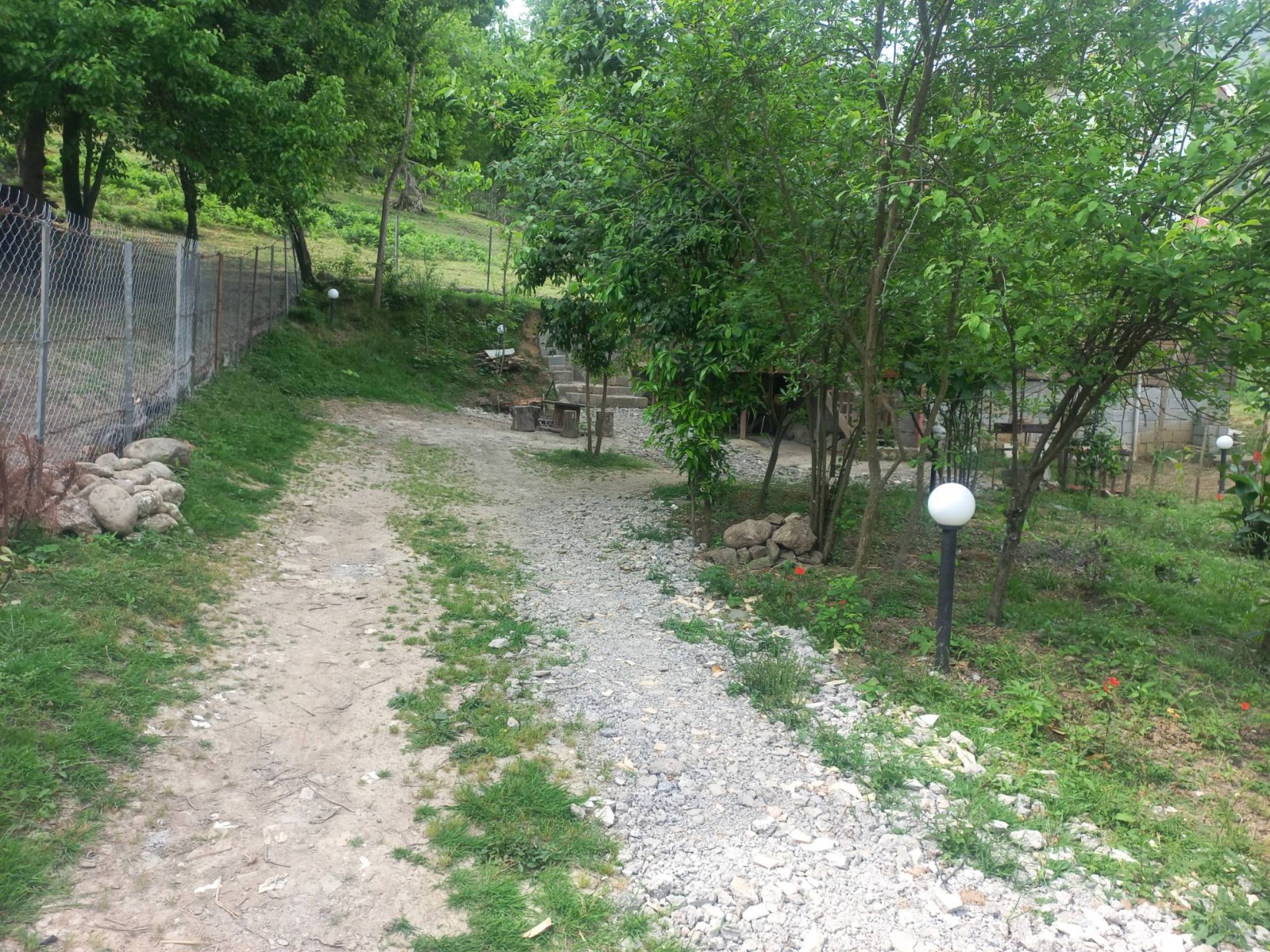 محوطه سرسبز و جای پارک خودرو