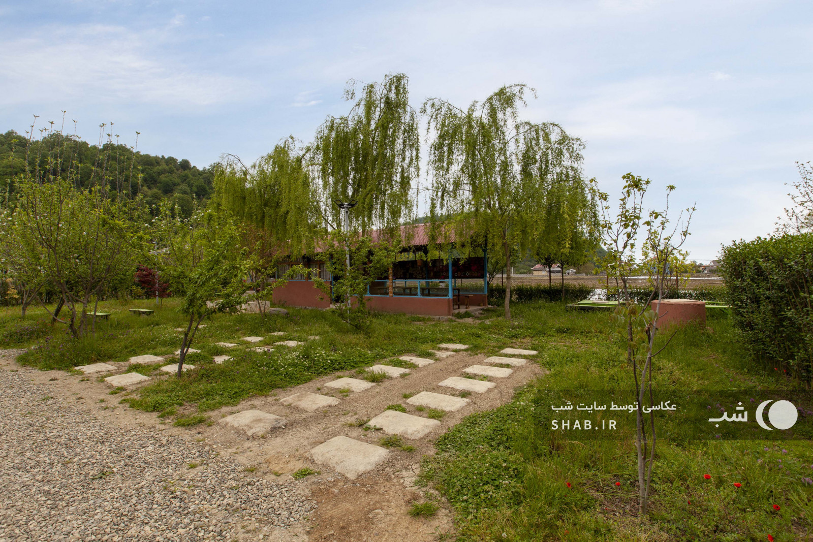 حیاط و آلاچیق حیاط و آلاچیق